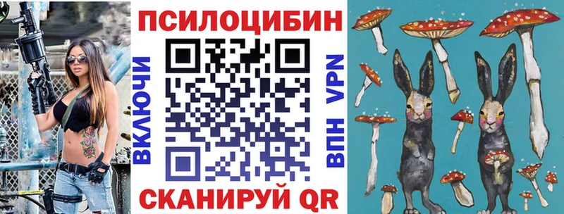 Галлюциногенные грибы Cubensis  где купить наркоту  Архангельск 